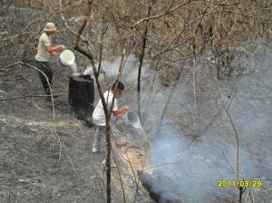 Combatiendo el fuego con los pocos recursos que tenemos