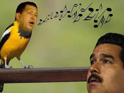 pajarito  chavez