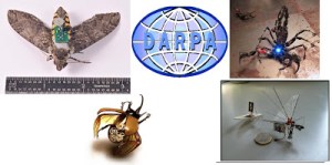Darpas  nano
