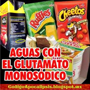 GLUTAMATO MONOSÓDICO GMS