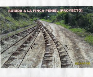 EL PROYECTO DE CONSTRUCCÍON