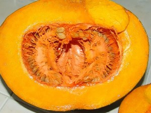 CALABAZA