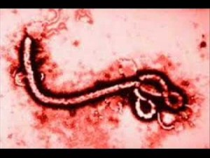 fin de los tiempos 4 evola