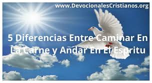 5 diferencia entre caminar en la carne