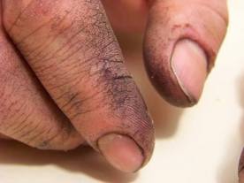 manos,  padre, callos