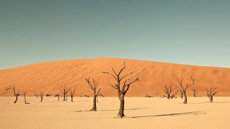 CAMBIO CLIMATICIO