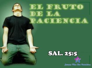 Paciencia