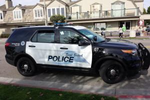 PATRULLA POLICIA USA