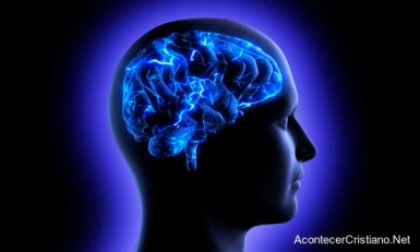 ciencia-cerebro-dios